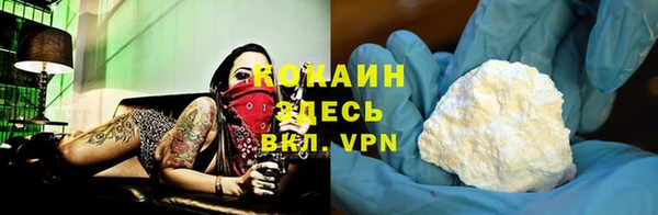 соль ск Снежинск