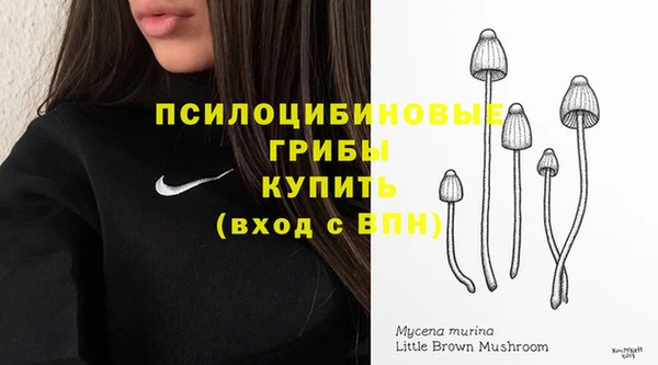 мефедрон мука Снежногорск