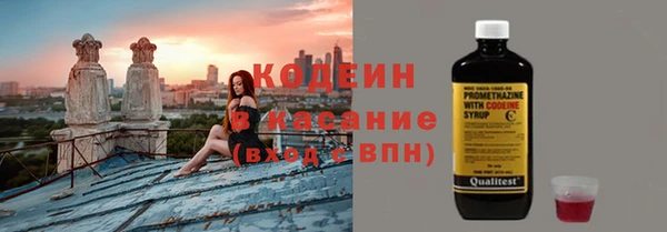 спайс Ельня