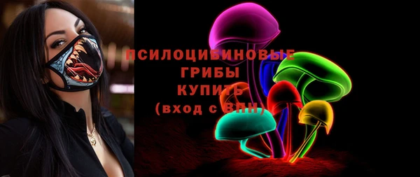 соль ск Снежинск