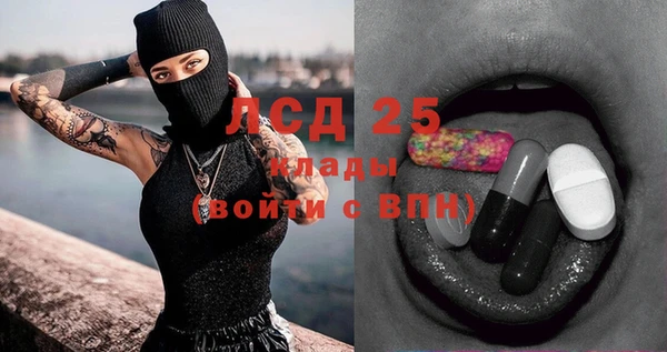 соль ск Снежинск