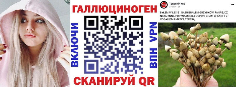 ссылка на мегу ONION  Цивильск  Псилоцибиновые грибы прущие грибы 